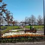 Photo of Meripuisto