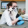 Worth Street Veterinary Center gift card