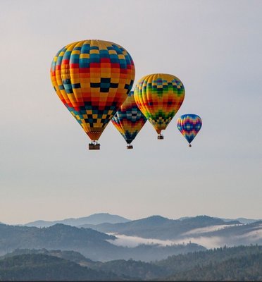 Napa Valley Aloft Hot Air Balloon Rides by null