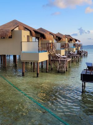Book now - Book Now
We Talk You Pack and Go! Book now - Book Now
We Talk You Pack and Go!
