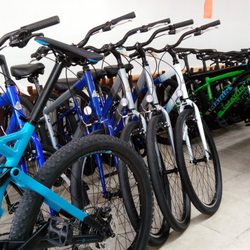 Only 1 Bicycle - MARIN bicycles