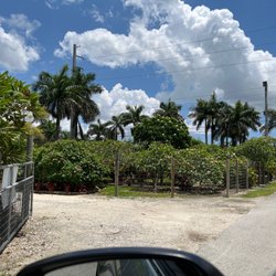Florida Colors Nursery - Outside