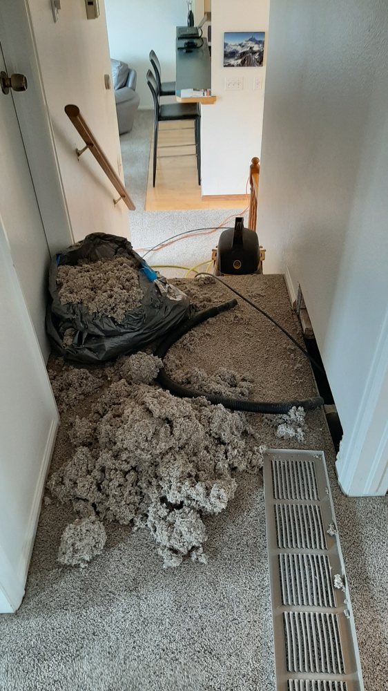 1ST CHOICE CARPET AND AIR DUCT CLEANING 17 Photos & 55 Reviews