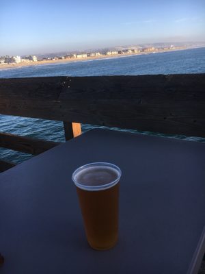 The Tin Fish by null