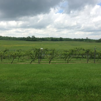 Otter Creek Winery - Wineries Near Me - Philadelphia, New York Otter Creek Winery - Wineries Near Me - Philadelphia, New York