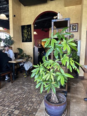 Fav Bistro by null