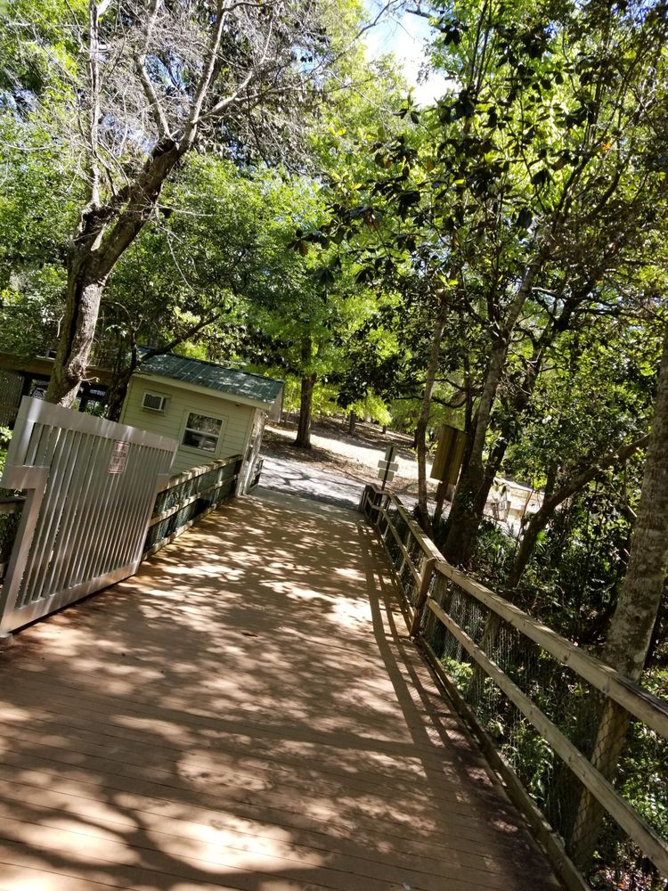 Turkey Creek Park 67 Photos & 13 Reviews Parks 340 John Sims Pkwy