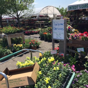Untiedt's - Minnetonka - Beautiful, healthy variety! - Farmers Market Near Me - Minnetonka, Minnesota Untiedt's - Minnetonka - Beautiful, healthy variety! - Farmers Market Near Me - Minnetonka, Minnesota