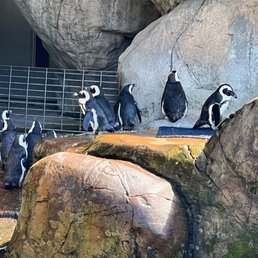 zoo Central Florida Zoo & Botanical Gardens | Sanford, FL | 17201