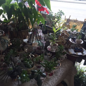 La Petite Cuillère - Plants for sale! - Tea Rooms Near Me - Vancouver, British Columbia