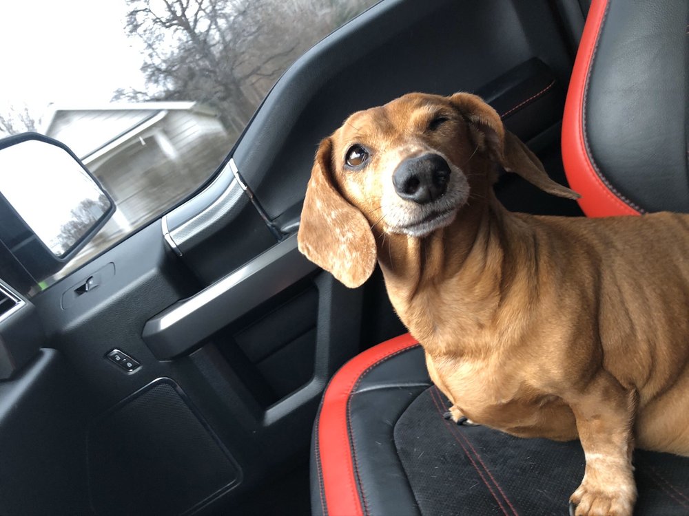 REESE VETERINARY CLINIC Updated August 2024 G1170 W Hemphill Rd, Burton, Michigan