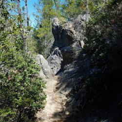 Buzzard's Roost - This is part of the path...which let's you know that you're getting close to the top.