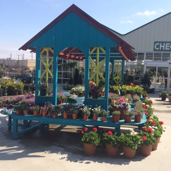 Covington's Nursery & Landscape - I can't stop saying Wow! - Nurseries & Gardening Near Me - Rowlett, Texas Covington's Nursery & Landscape - I can't stop saying Wow! - Nurseries & Gardening Near Me - Rowlett, Texas