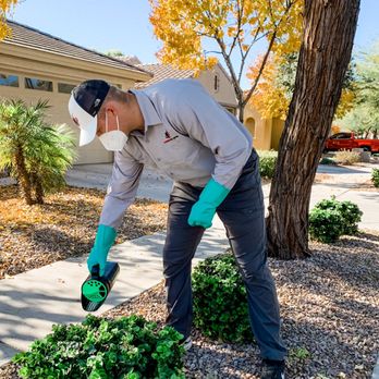 EverGuard Pest Control - Pest Control Near Me - Mesa, Arizona EverGuard Pest Control - Pest Control Near Me - Mesa, Arizona