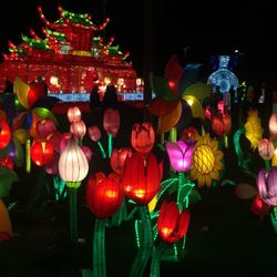 Lantern Light Festival