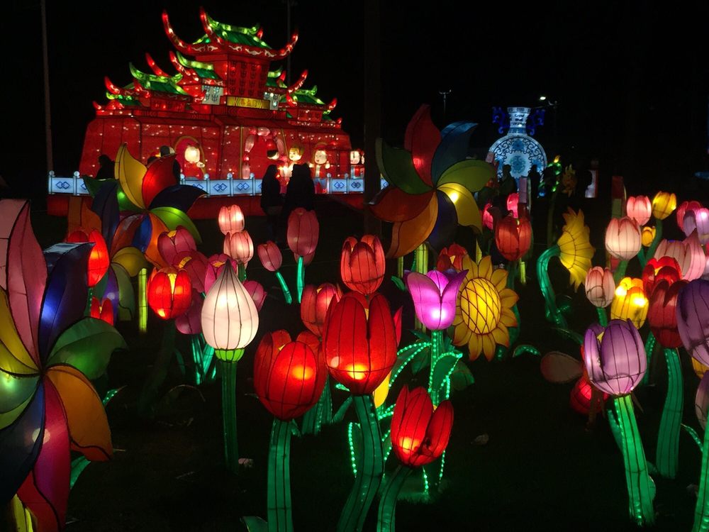 LANTERN LIGHT FESTIVAL Updated September 2024 158 Photos & 26
