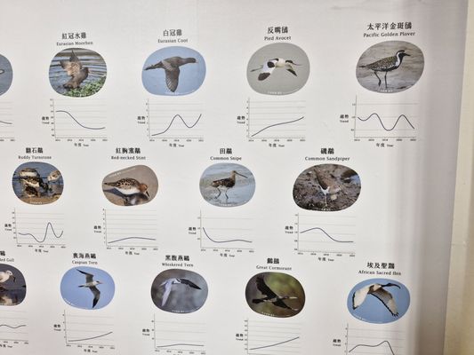 National Taiwan Museum by null