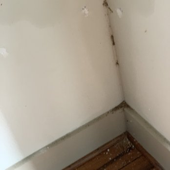 Olympus Sierra Pines - After termite inspection was "completed" - Apartments Near Me - The Woodlands, Texas Olympus Sierra Pines - After termite inspection was "completed" - Apartments Near Me - The Woodlands, Texas