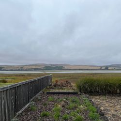 Motel Inverness - View from our private deck (California Quail Room)