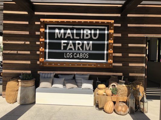 Malibu Farm by null