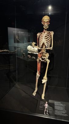 The Health Museum by null