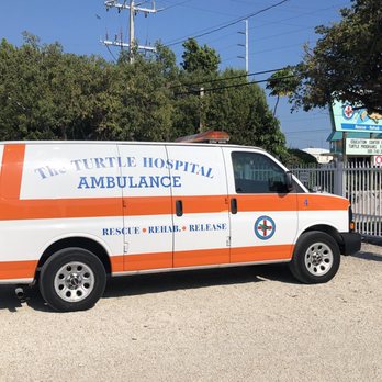 The Turtle Hospital - Turtle rescue - Veterinarians Near Me - Marathon, Florida The Turtle Hospital - Turtle rescue - Veterinarians Near Me - Marathon, Florida