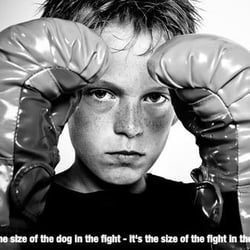 Punch Boxing For Fitness