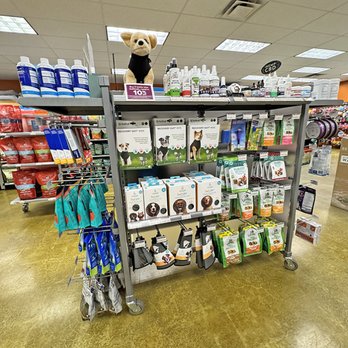 All The Best Pet Care - All-The-Best-Pet-Care-Kenmore-Pet-Store-Dog-Cat-Supplies-Pill-Pockets-Dog-Cat-First-Aid-720x720.png - Pet Stores Near Me - Kenmore, Washington All The Best Pet Care - All-The-Best-Pet-Care-Kenmore-Pet-Store-Dog-Cat-Supplies-Pill-Pockets-Dog-Cat-First-Aid-720x720.png - Pet Stores Near Me - Kenmore, Washington