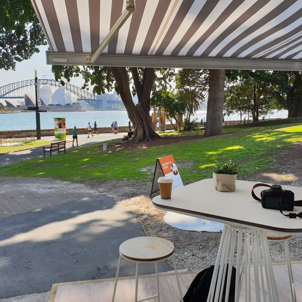 Busby's Bar - Plenty of shade available under the old growth fig trees. - Bars Near Me - Sydney, NSW Busby's Bar - Plenty of shade available under the old growth fig trees. - Bars Near Me - Sydney, NSW