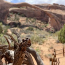 Landscape Arch - Landscape Arch