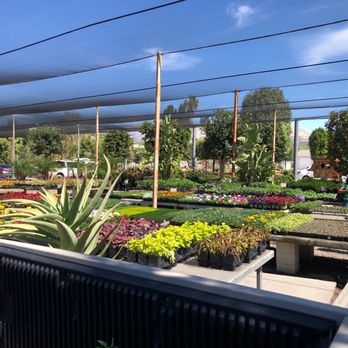 Moon Valley Nurseries - Garden plants - Nurseries & Gardening Near Me - El Cajon, California Moon Valley Nurseries - Garden plants - Nurseries & Gardening Near Me - El Cajon, California
