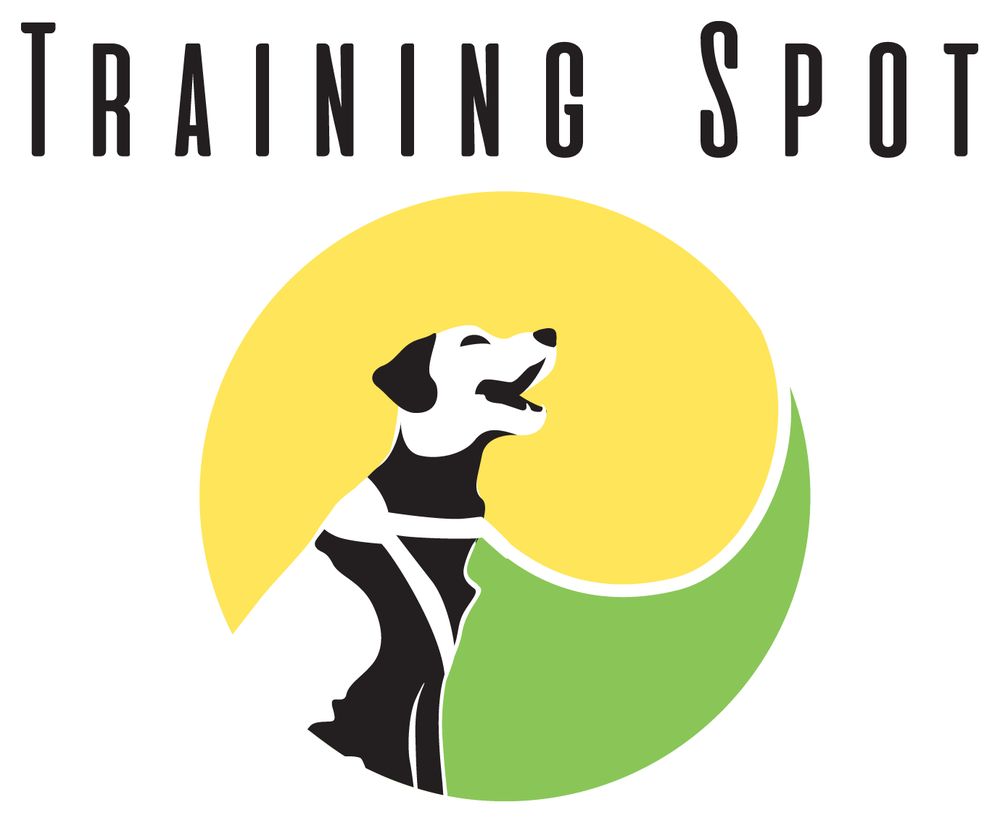 Training Spot - pet boarding facility in Las Vegas, NV