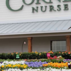Cornelius Nursery