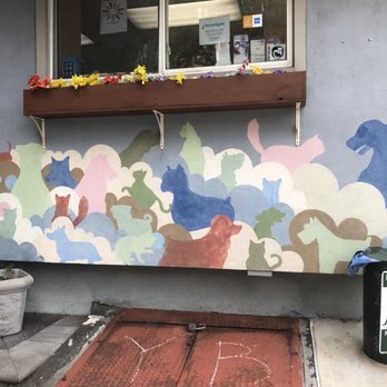 northside emergency veterinary clinic