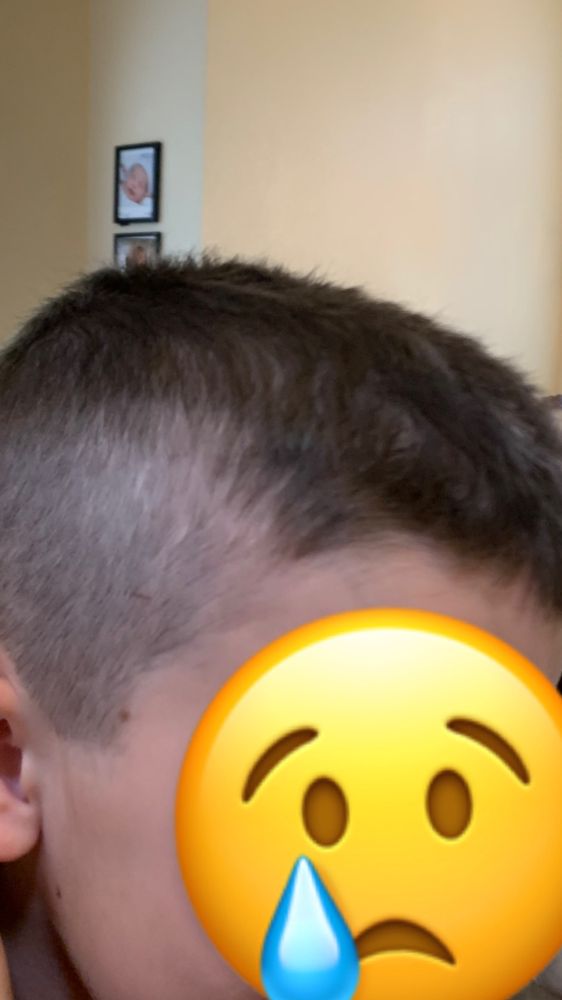 GREAT CLIPS Updated September 2024 16 Photos & 49 Reviews 9055