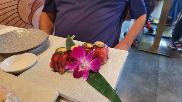 Fish Boon by null