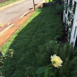I bought El toro zoysia. I installed by myself! I bought El toro zoysia. I installed by myself!