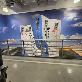DICK'S House of Sport - Top of the rock climbing wall - July 2026 - Sporting Goods Near Me - Gaithersburg, Maryland