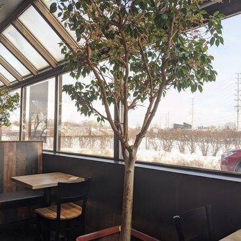 Harvey's - Tree and natural sunlight - Burgers Near Me - Mississauga, Ontario Harvey's - Tree and natural sunlight - Burgers Near Me - Mississauga, Ontario