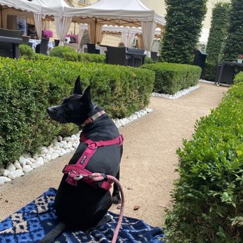 The Grand Mark Prague - They took care of my baby! - Hotels Near Me - Prague, Puerto Rico