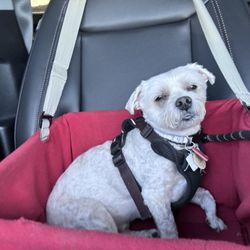 Eastlake Village Vet Clinic