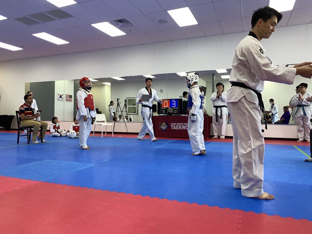 World Class Tigers Taekwondo Logo