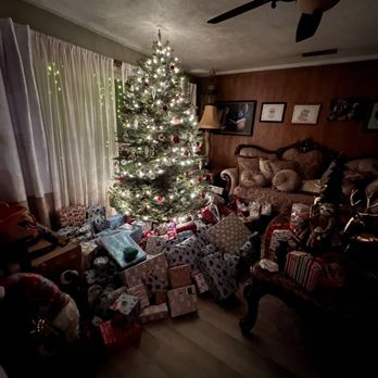 Silver Bells Christmas Trees - Tree Services Near Me - Pacifica, California Silver Bells Christmas Trees - Tree Services Near Me - Pacifica, California