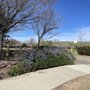 Photo of Altamont Creek Park