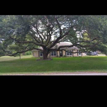 Garrett Tree Services - Tree Services Near Me - Cypress, Texas Garrett Tree Services - Tree Services Near Me - Cypress, Texas