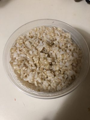 Asian Taste Medford by null