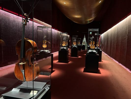 Museo del Violino by null