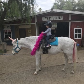 Peter Weber Equestrian Center - Party & Event Planning Near Me - Rolling Hills Estates, California