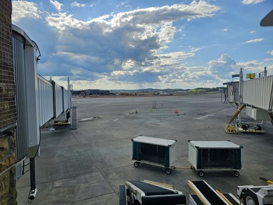 McGhee Tyson Airport by null