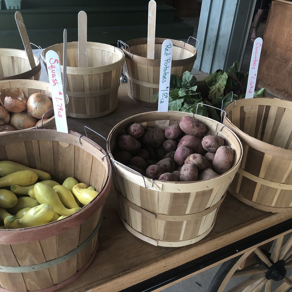 McCall T R Farm - 6/23/24 - Fruits & Veggies Near Me - Penrose, North Carolina